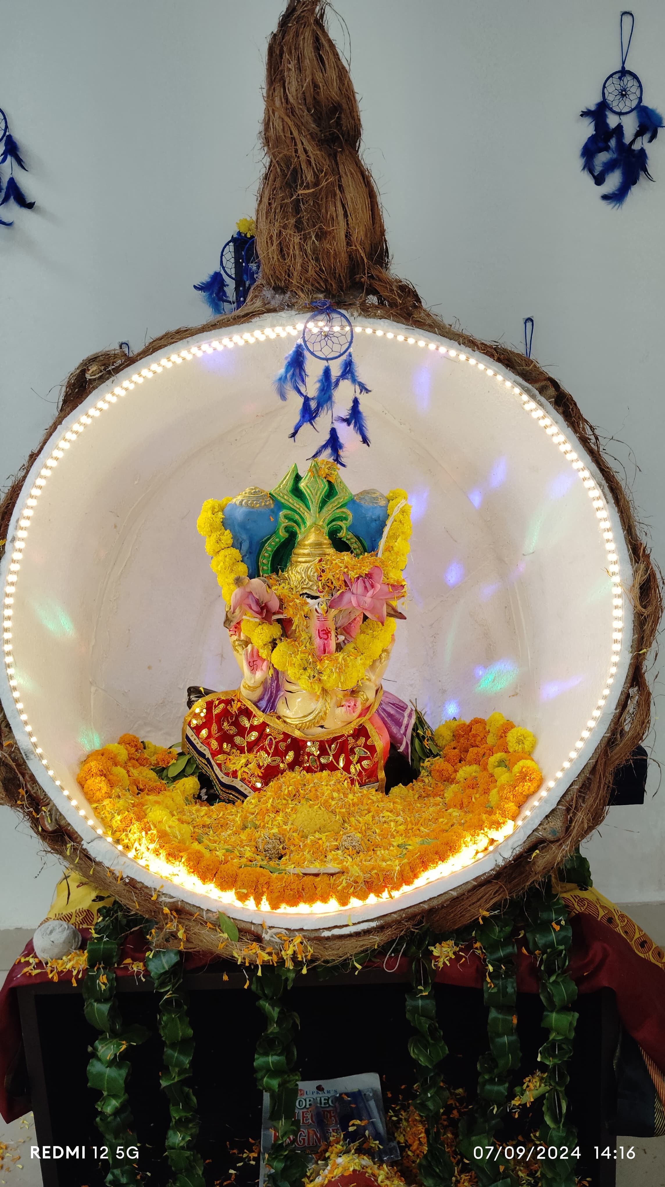Festivals & Celebrations